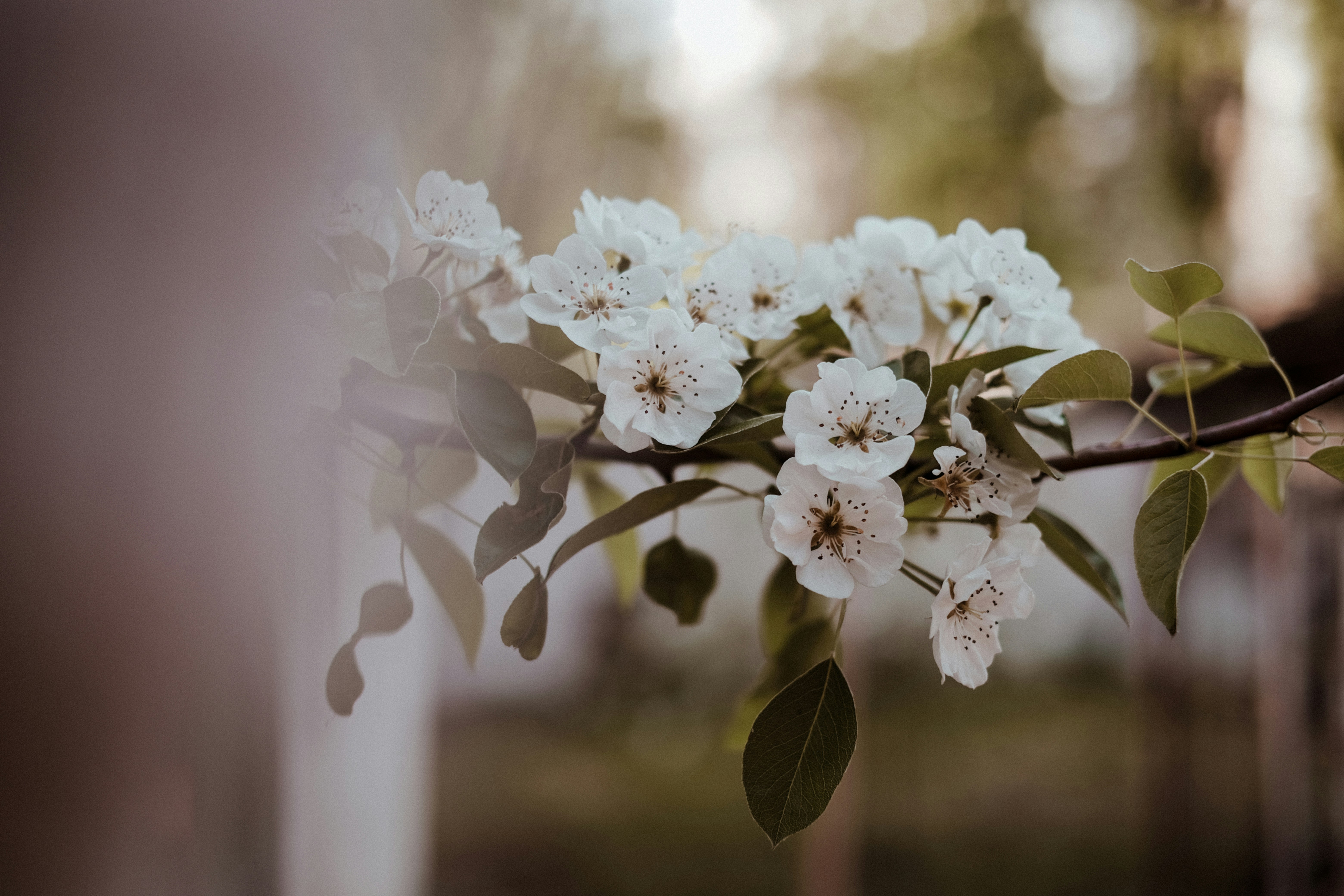 Photo by valeriiamiller