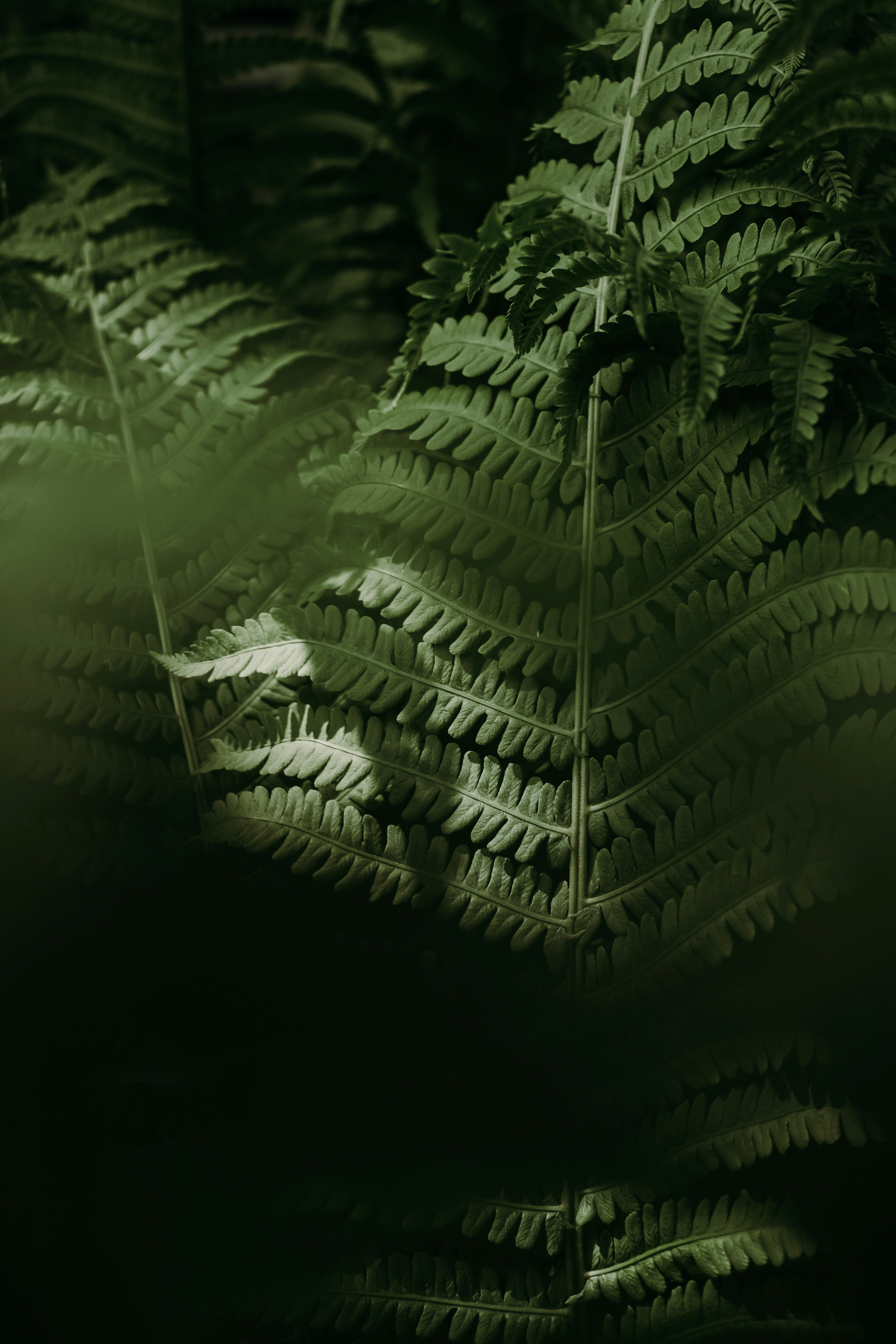 Photo by valeriiamiller