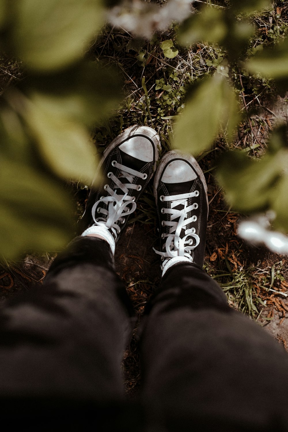 Person wearing black and white converse all star high top sneakers photo –  Free Sneakers Image on Unsplash