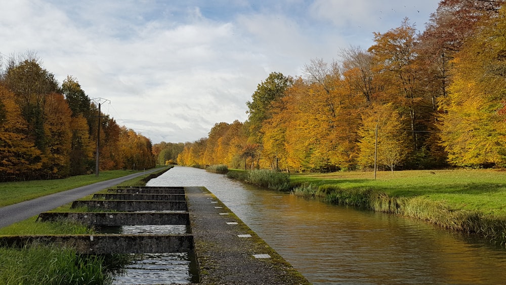 river between green trees under white sky during daytime