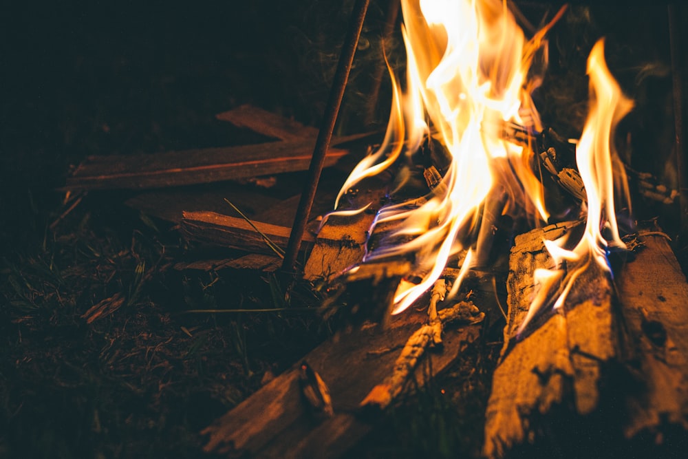 Brennen von Holz auf Feuerstelle