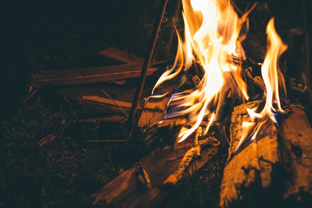 burning wood on fire pit