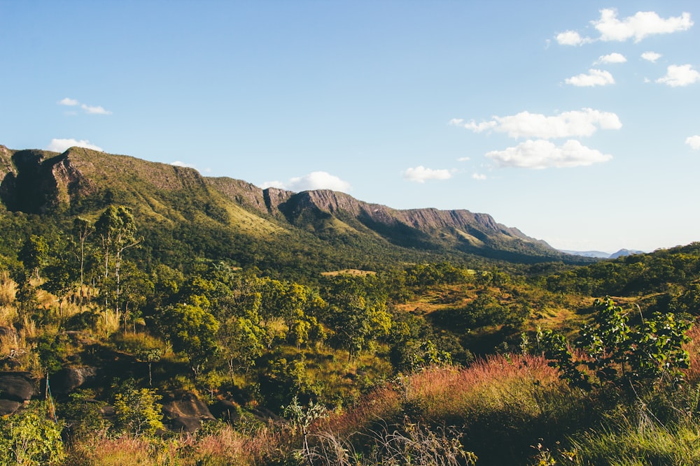 grüner und brauner Berg unter blauem Himmel tagsüber