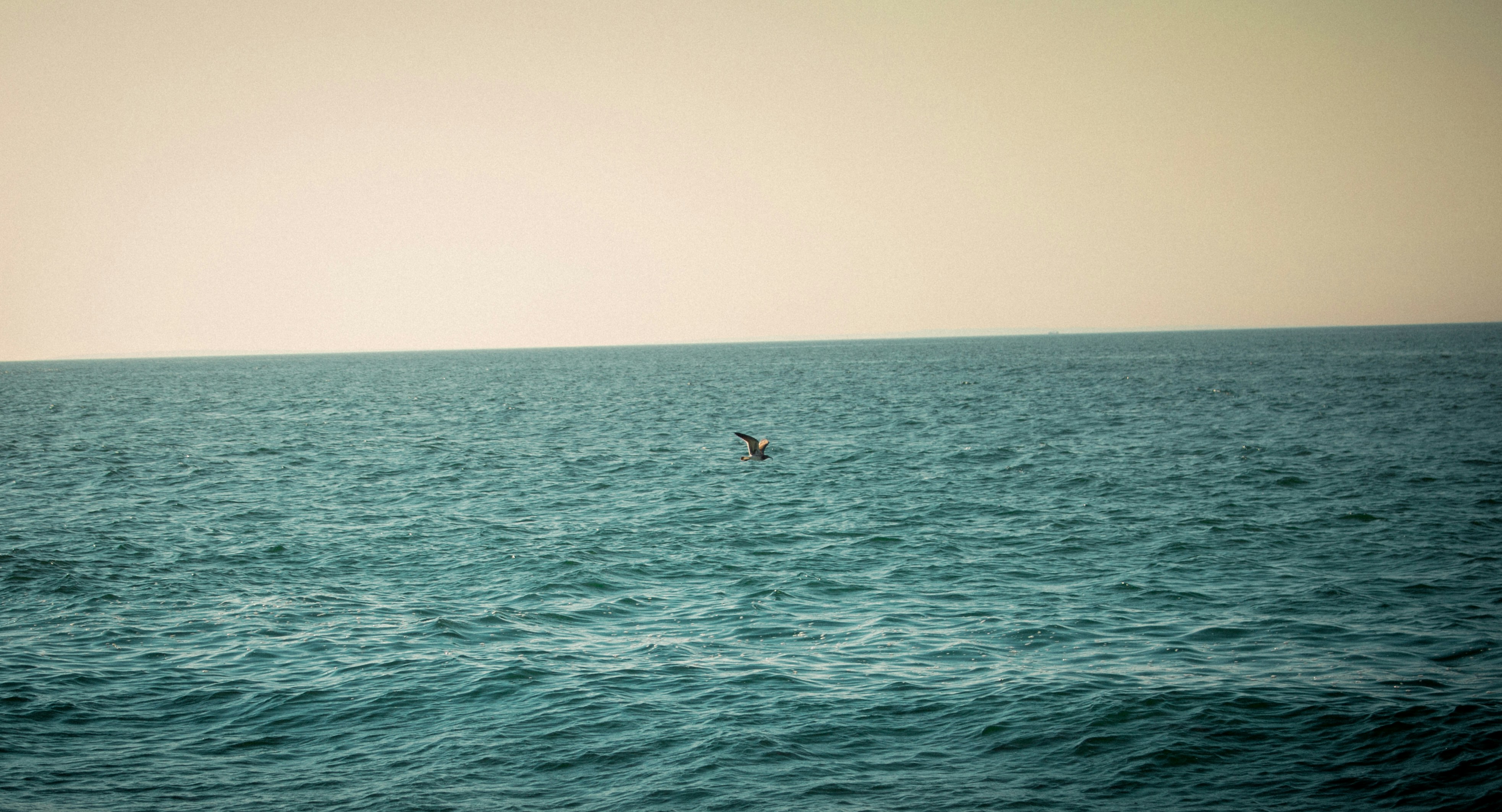 Mejores Ofertas De Fibra