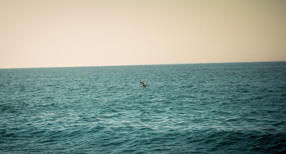 person surfing on sea during daytime