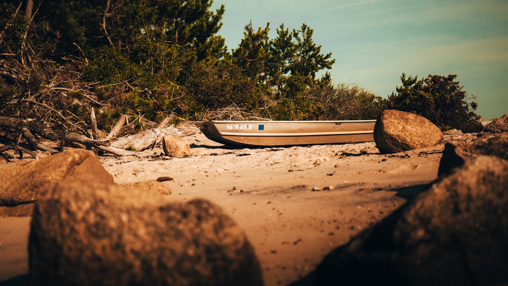 white and blue boat on brown sand near green trees during daytime