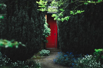 red wooden door near green trees mystical teams background