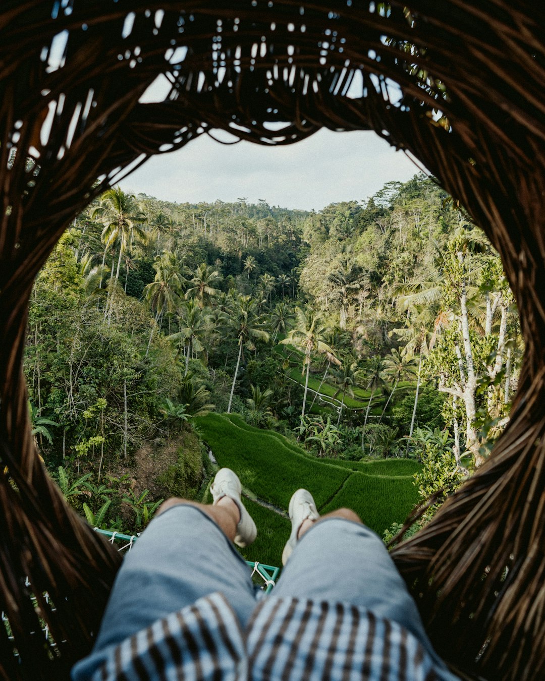 Natural landscape photo spot Bali Ubud