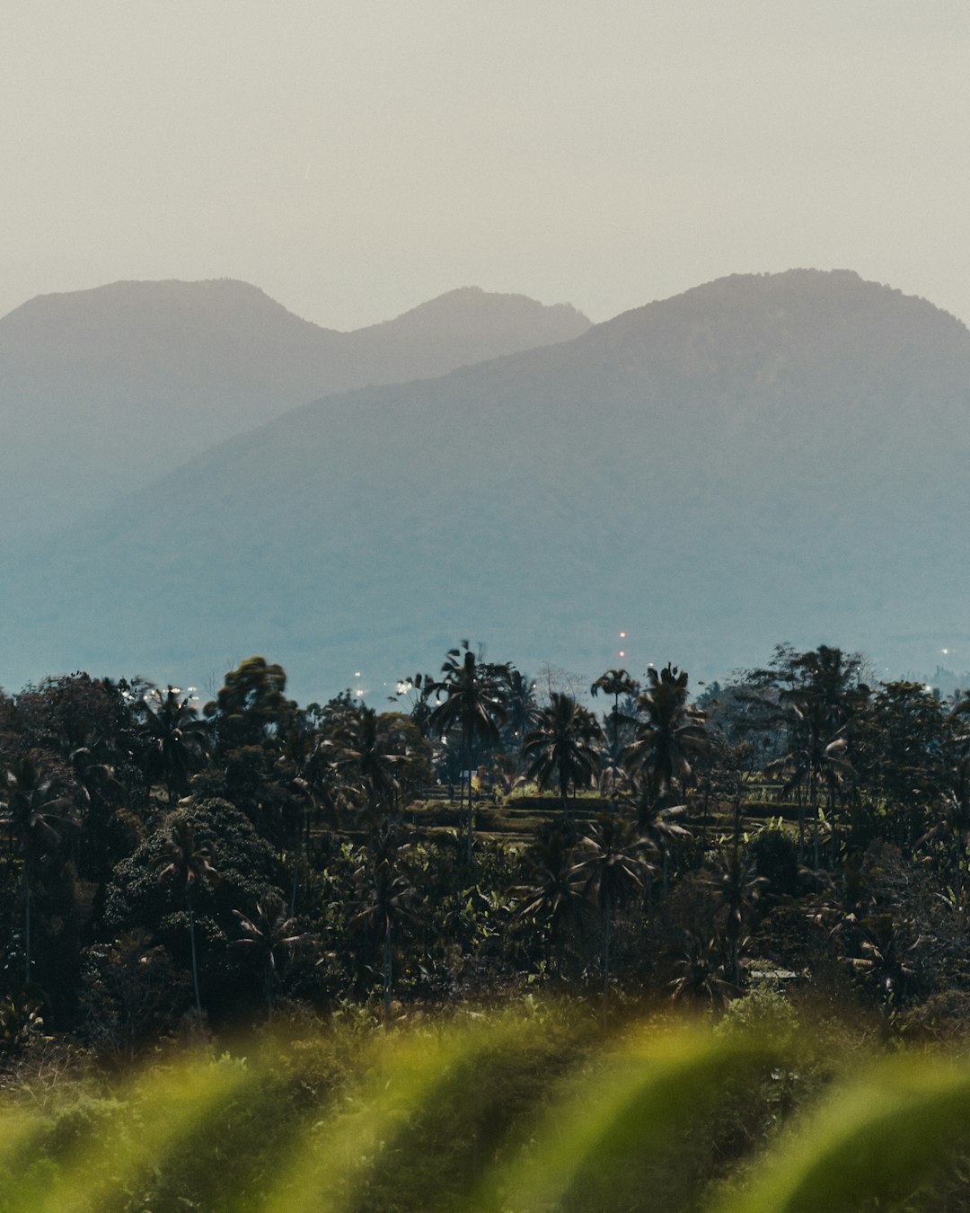 Ecoregion photo spot Bali Mount Agung