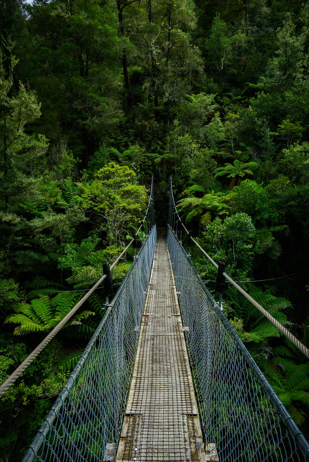 braune hölzerne Hängebrücke, tagsüber von grünen Bäumen umgeben