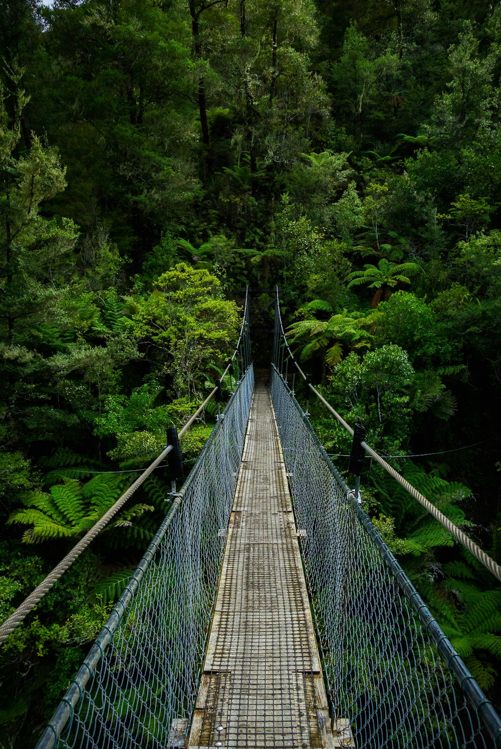 brown wooden hanging bridge surrounded by green trees during daytime