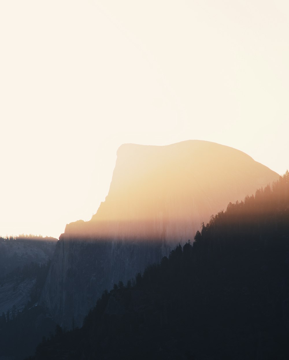 green trees on mountain during daytime