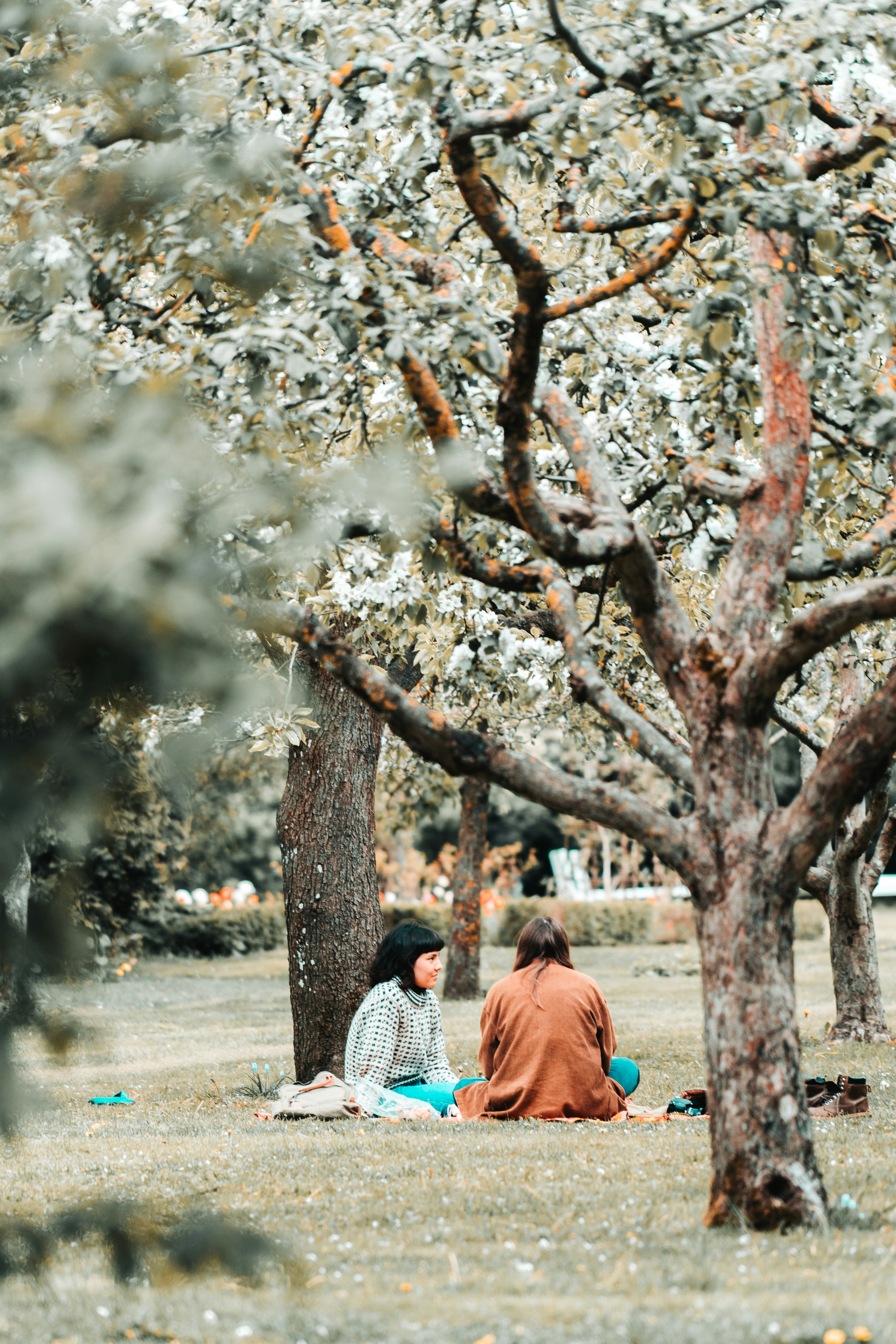 Photo by emilwidlund