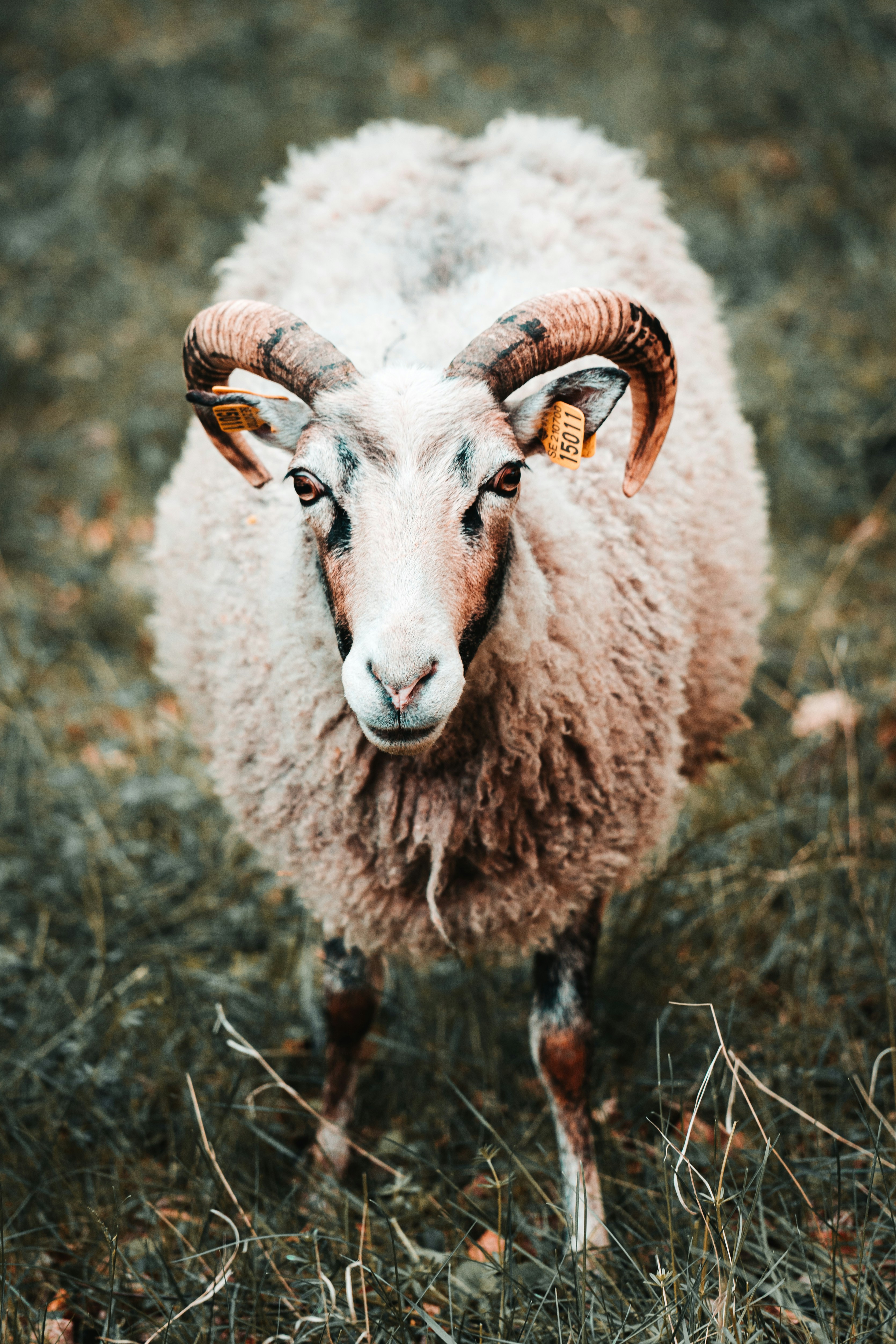 Photo by emilwidlund