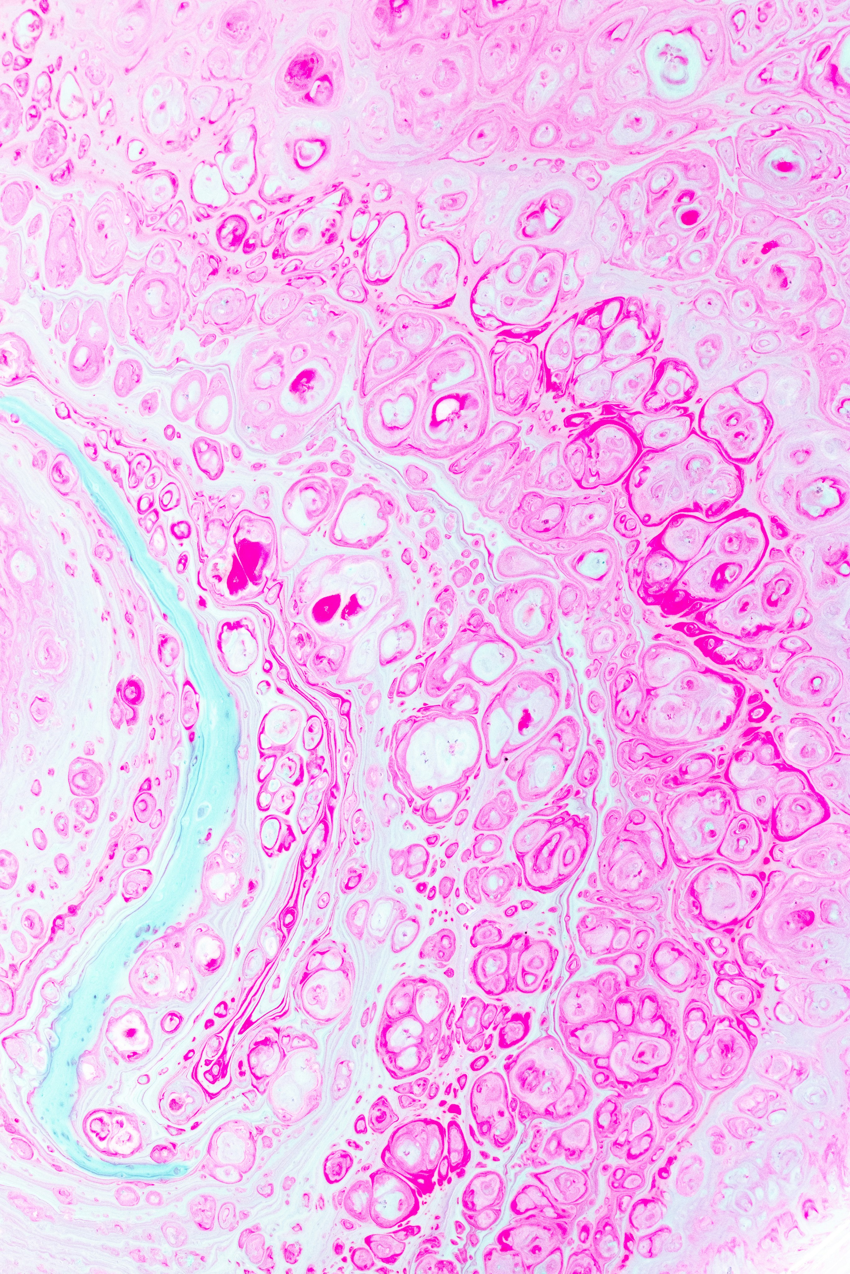 Photo by solenfeyissa