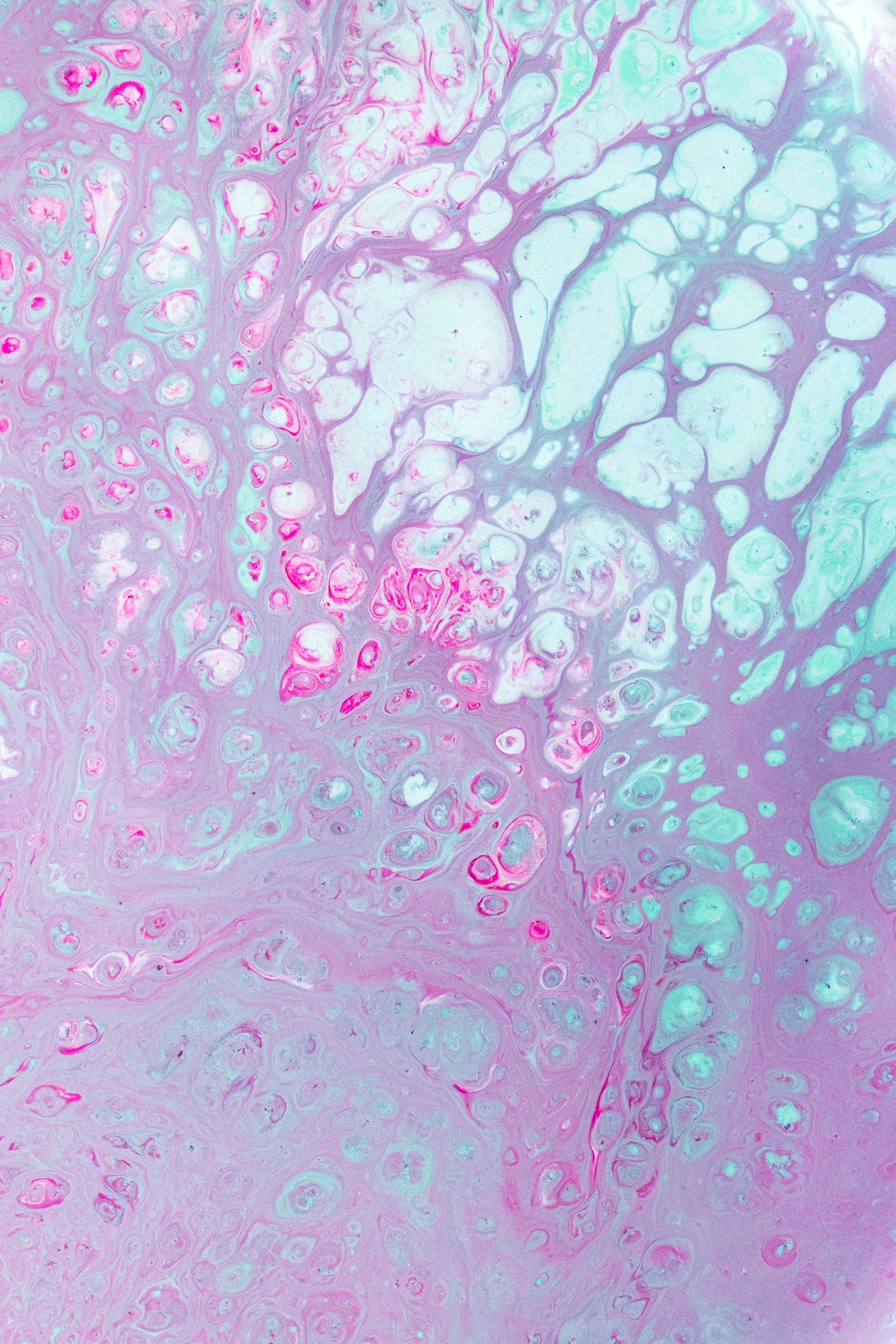 Photo by solenfeyissa