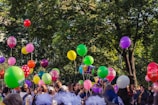 people gathering under green trees with balloons