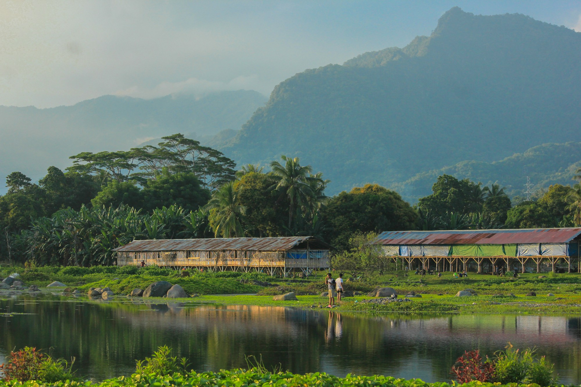 Essential Ende Travel Guide