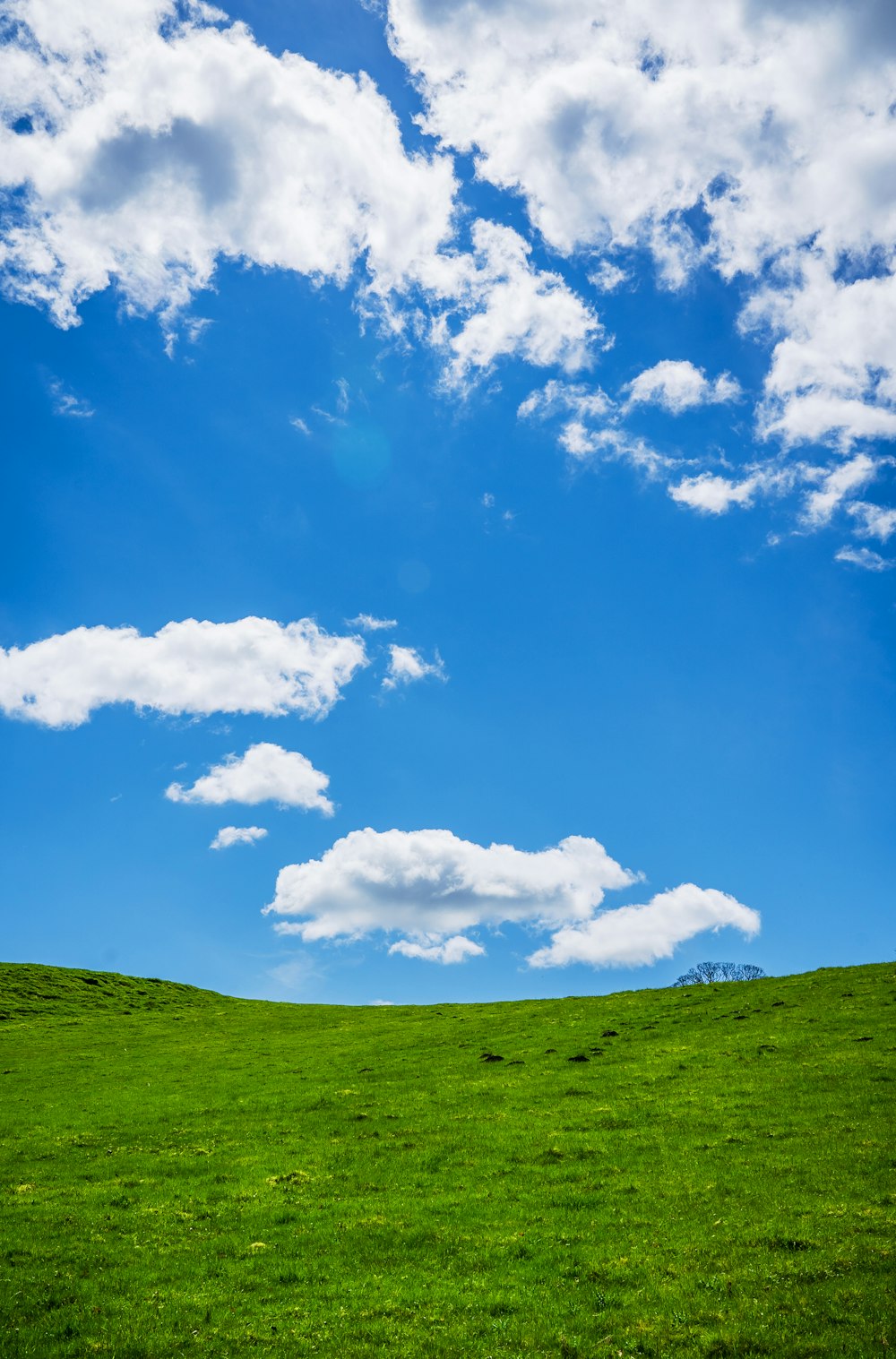 green grass field under blue sky and white clouds during daytime