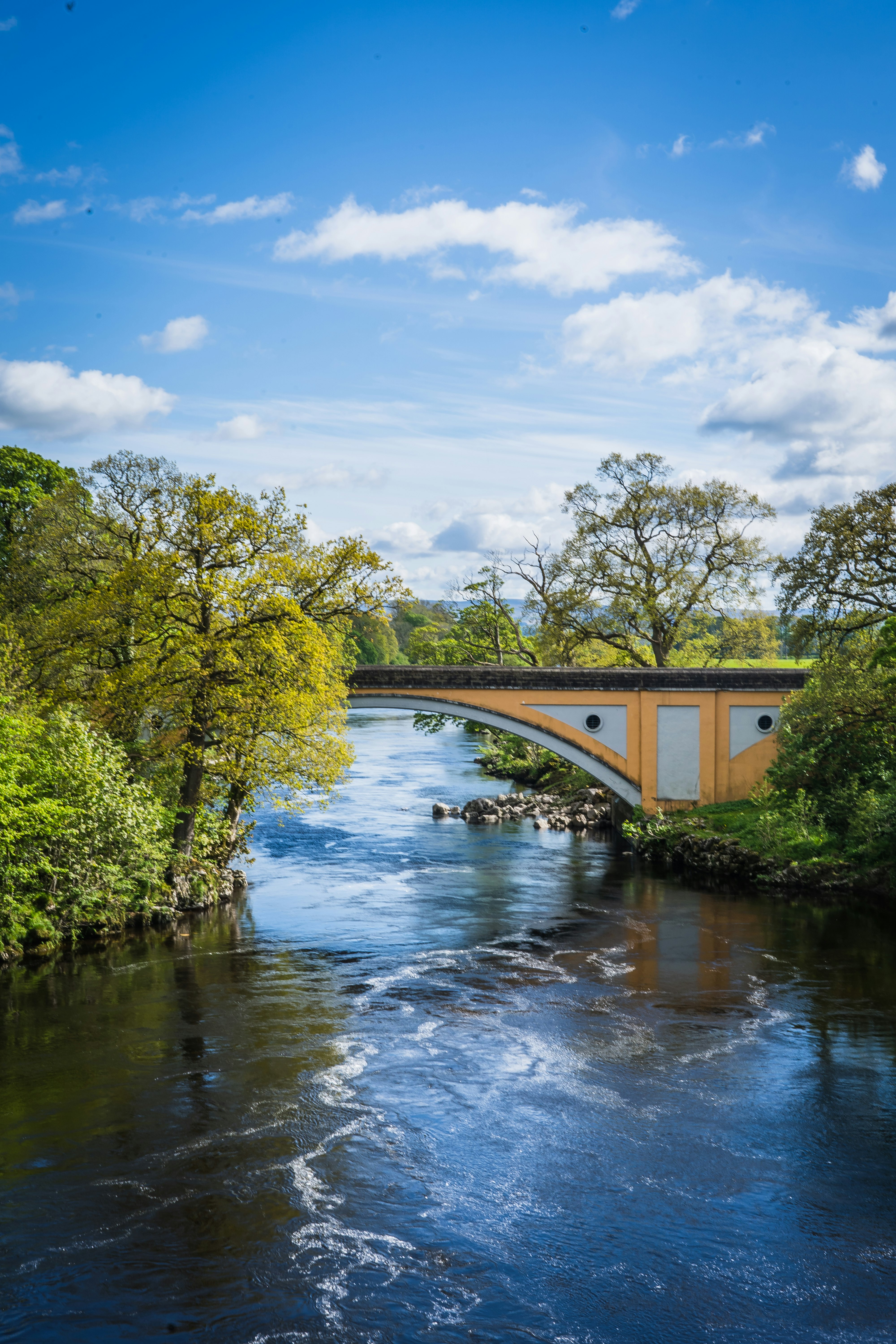 green trees beside river under blue sky during daytime