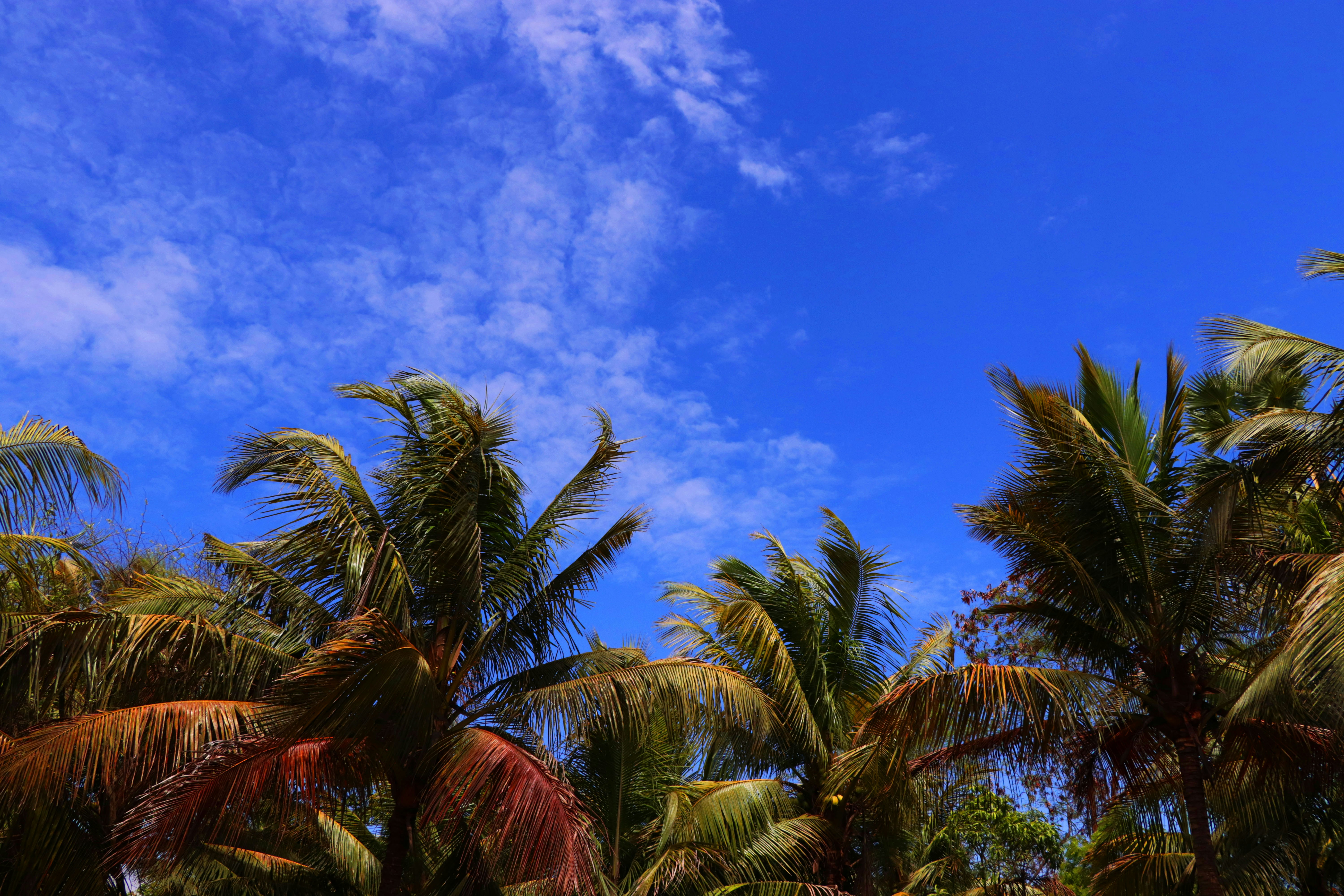 Photo by nirzarbhaidkar