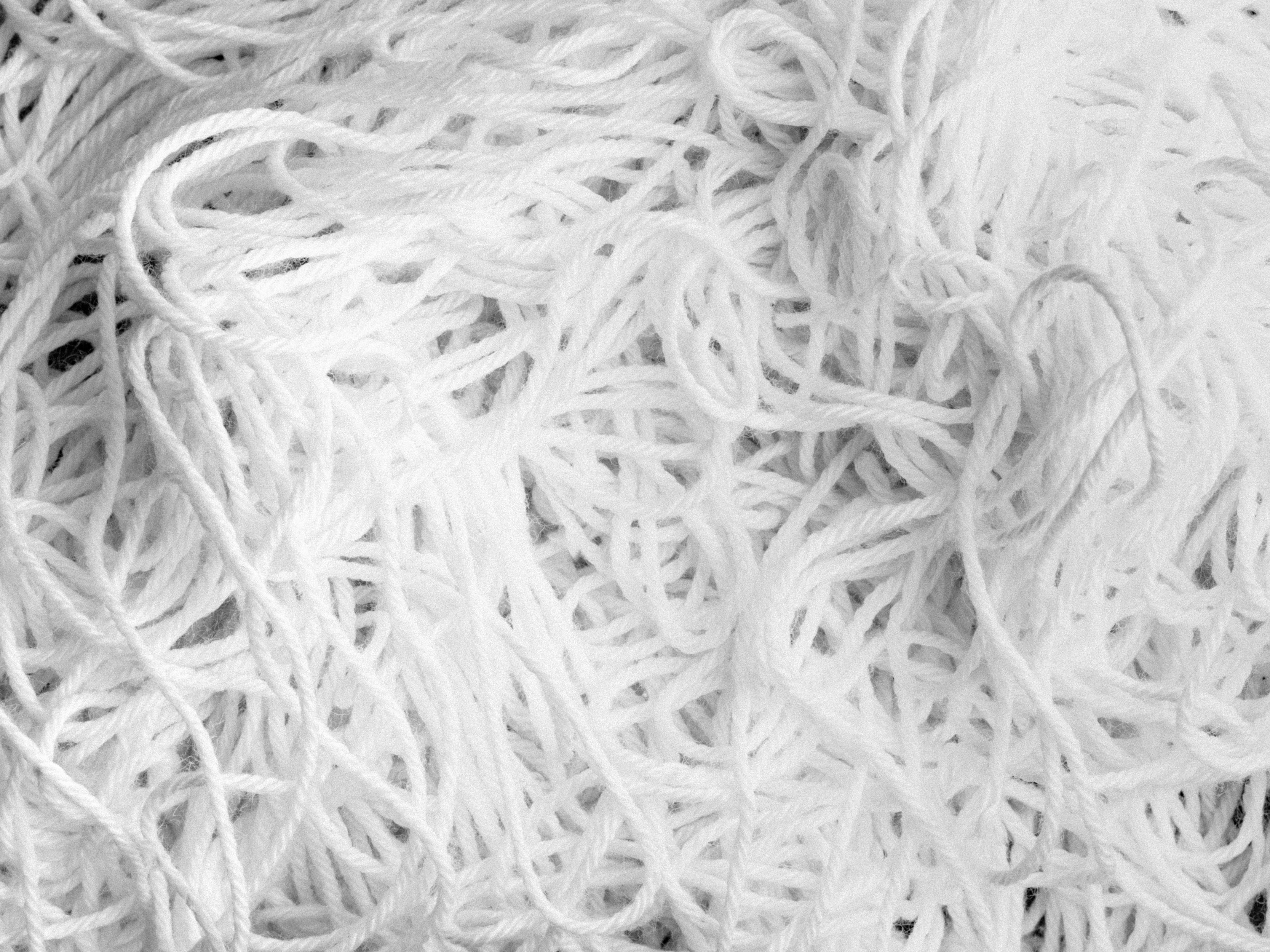Black and white photo of yarn