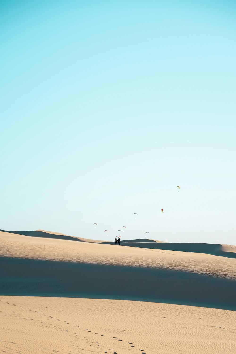 gente caminando en el desierto bajo el cielo azul durante el día