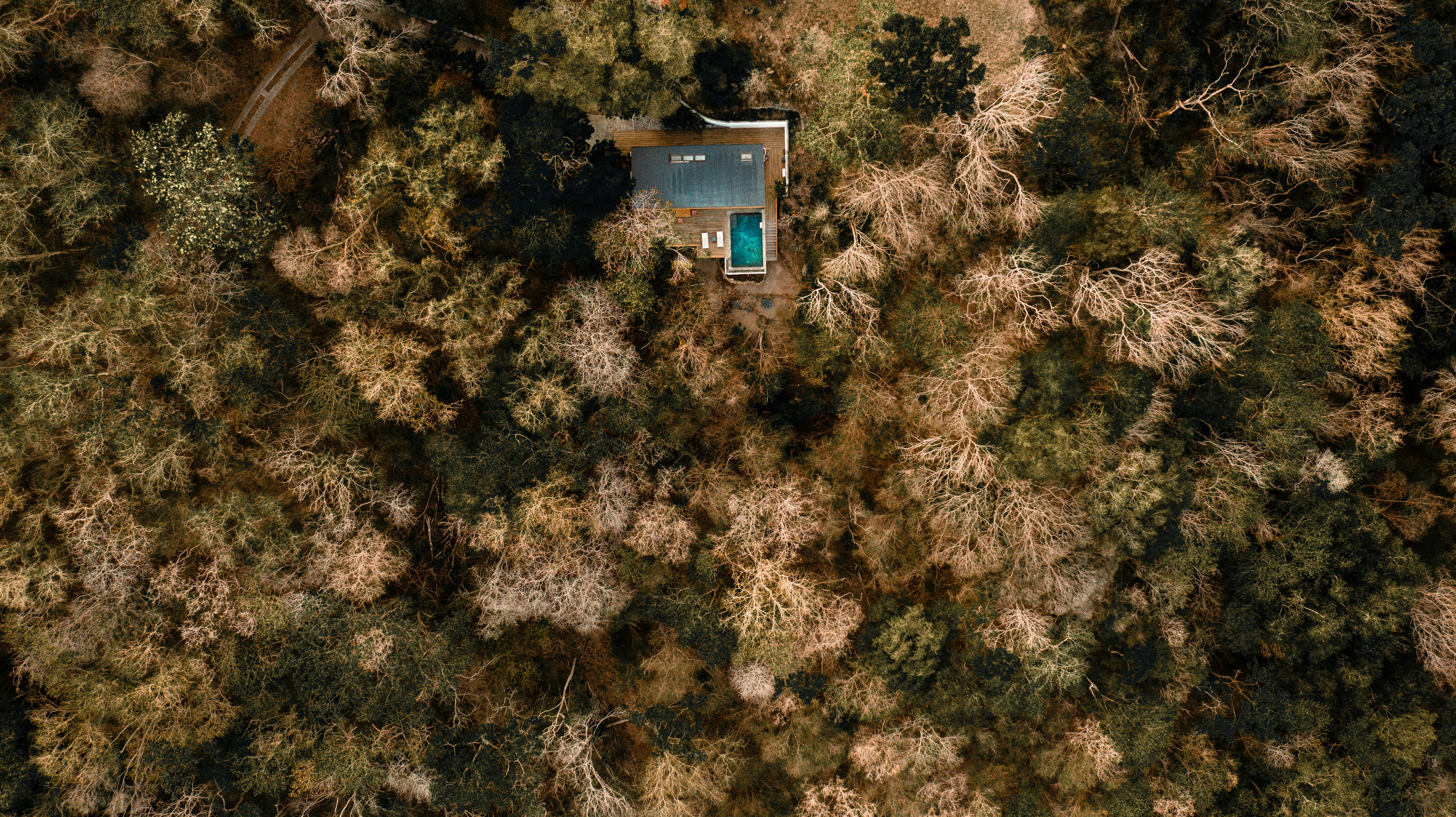 blue and white house in the middle of forest