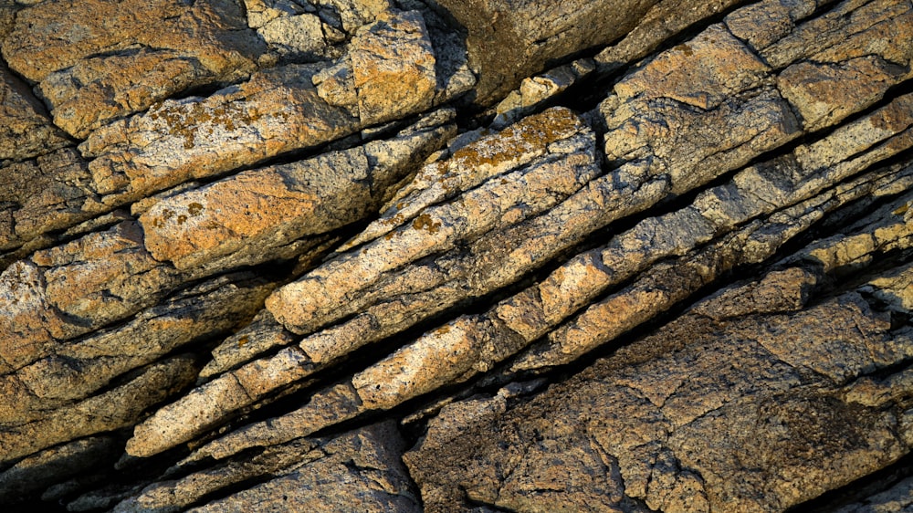 brown and gray rock formation