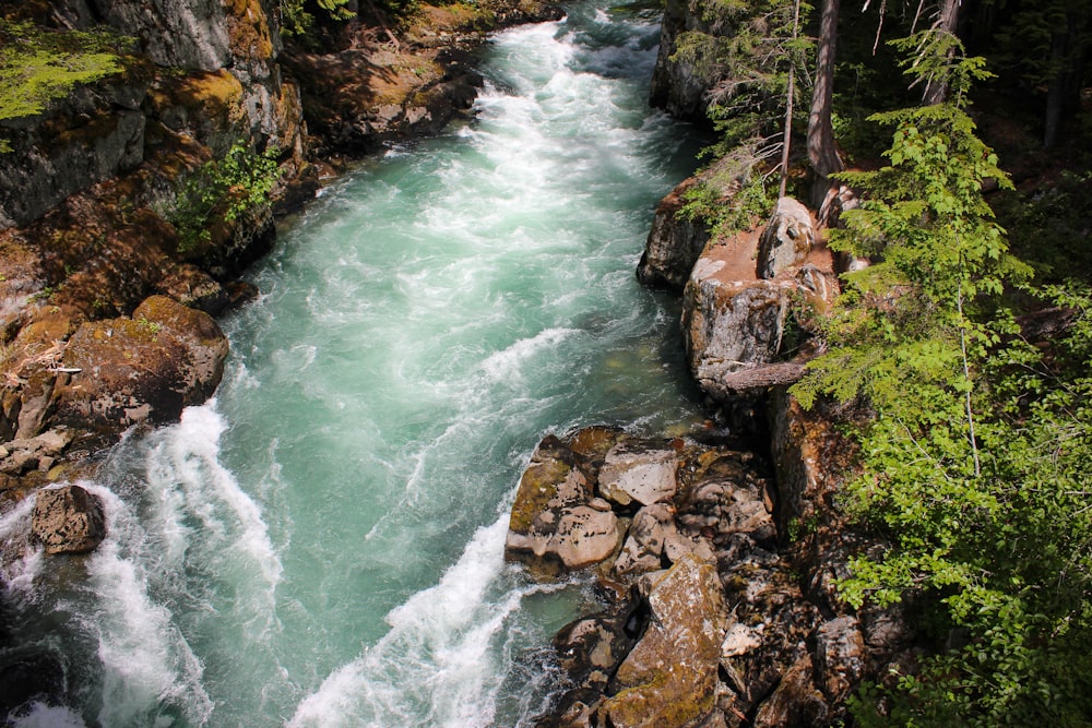 green and brown rocky river