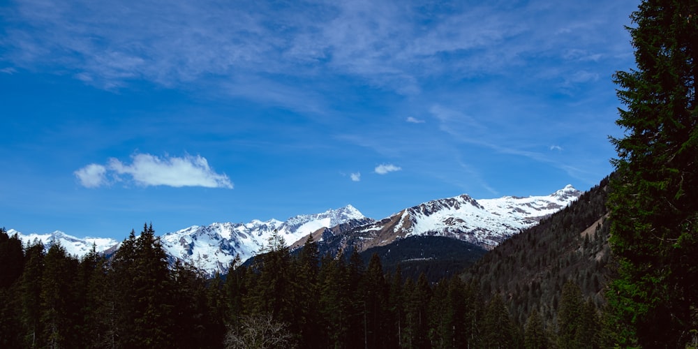 snow covered mountain under blue sky during daytime