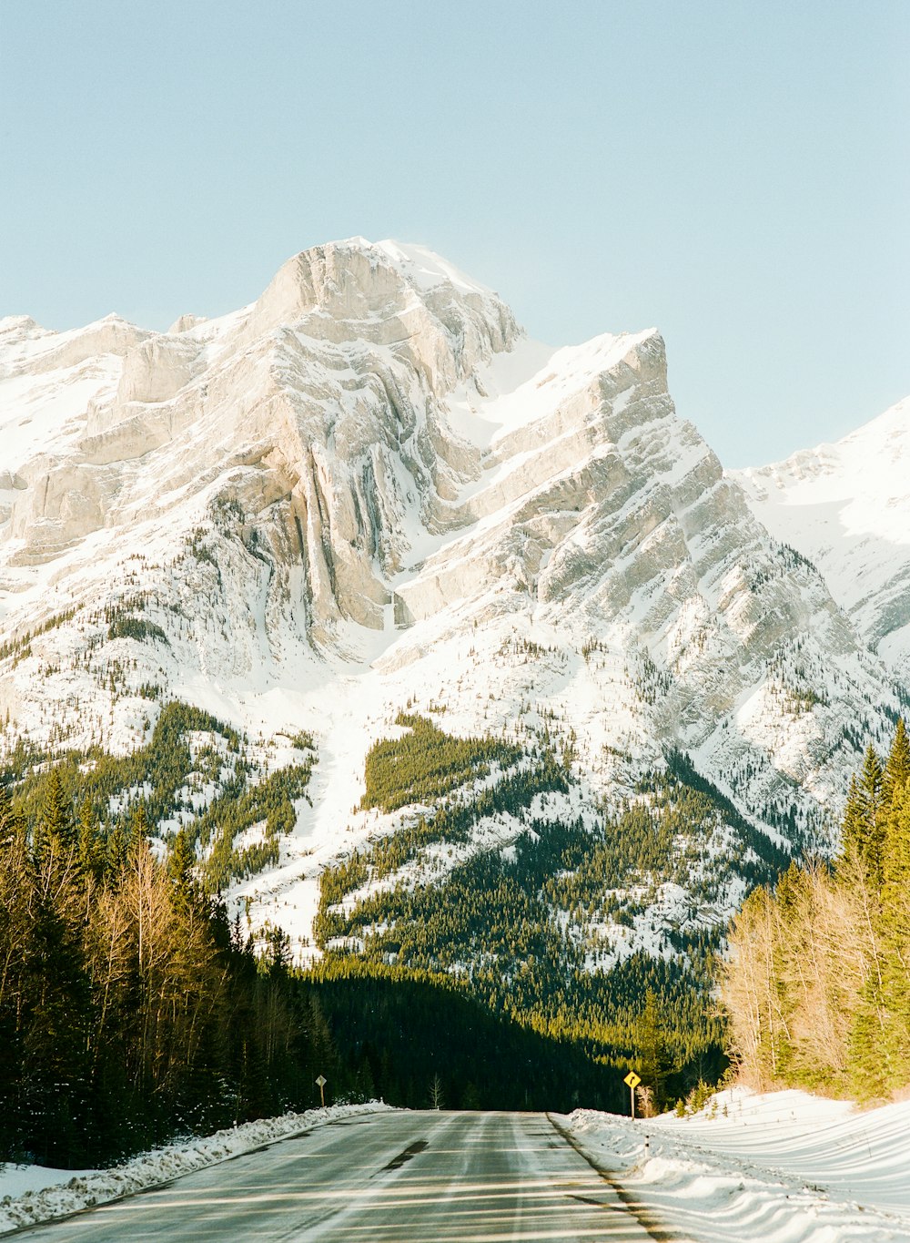 green trees near snow covered mountain during daytime