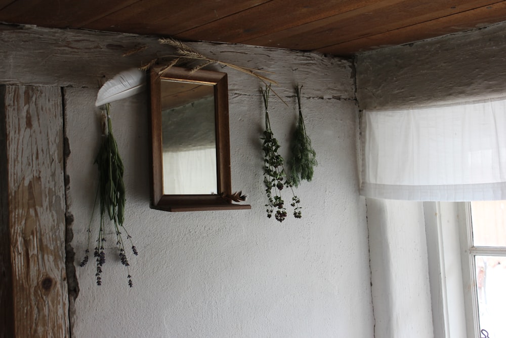 green plant on brown wooden window frame