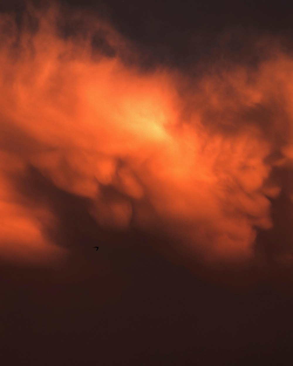 orange and black clouds during night time