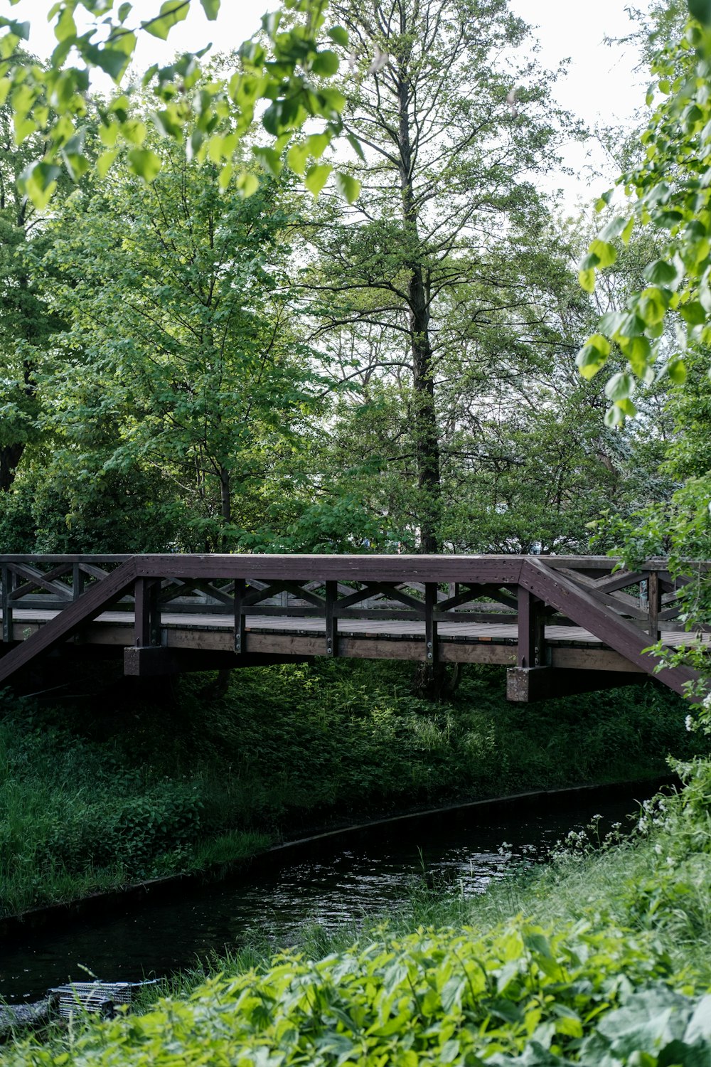 brown wooden bridge over green trees during daytime