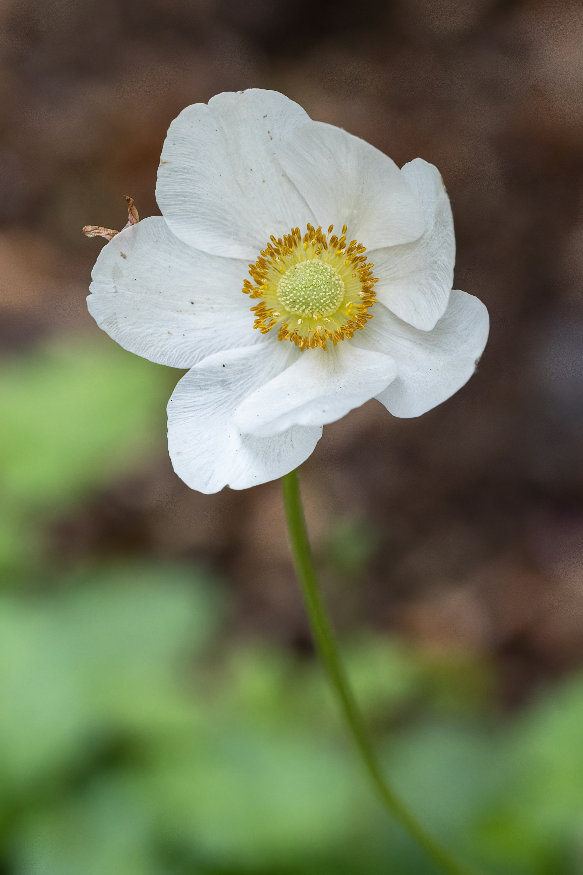 Photo by cholewinski