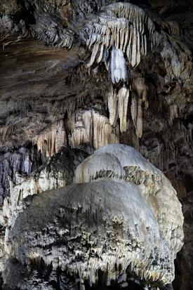 Cave champignonnières des Roches