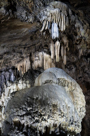 Cave champignonnières des Roches