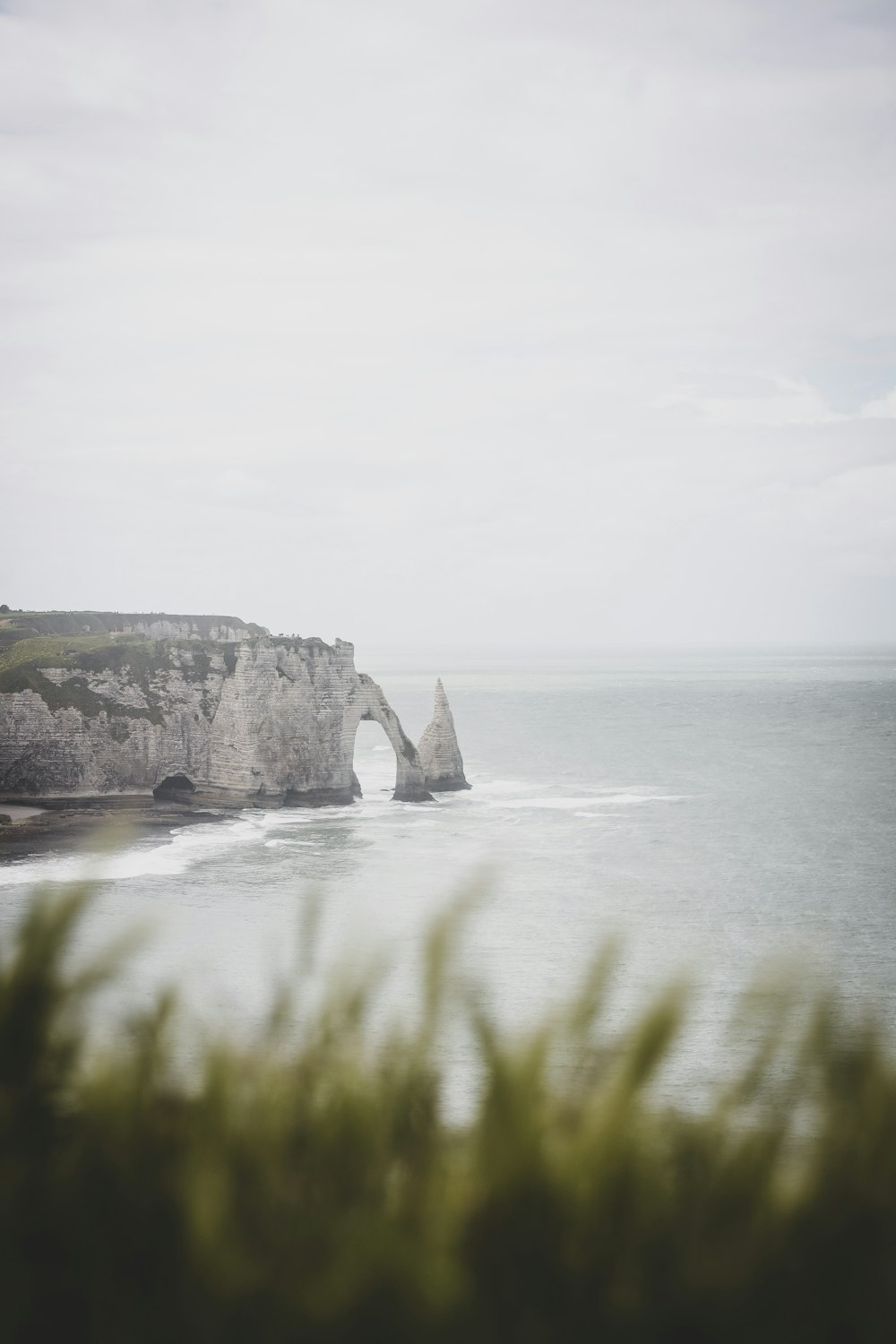 green grass on gray rock formation near body of water during daytime