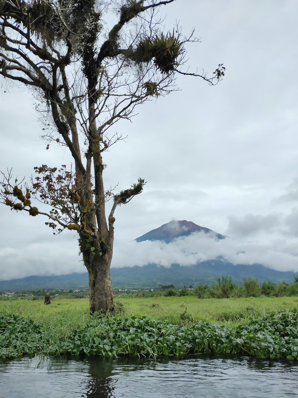 green grass field near mountain under white clouds during daytime