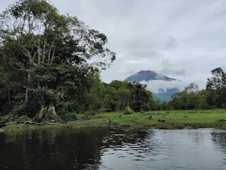 A serene landscape featuring a calm river with mountains in the background, symbolizing tranquility and ethical investment.