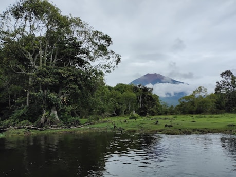 A serene landscape featuring a calm river with mountains in the background, symbolizing tranquility and ethical investment.