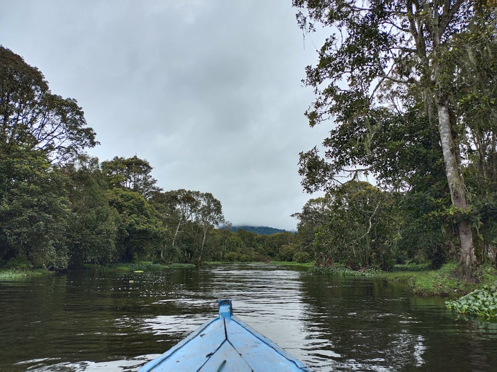 昼間、緑の木々の近くの川に浮かぶ青いボート