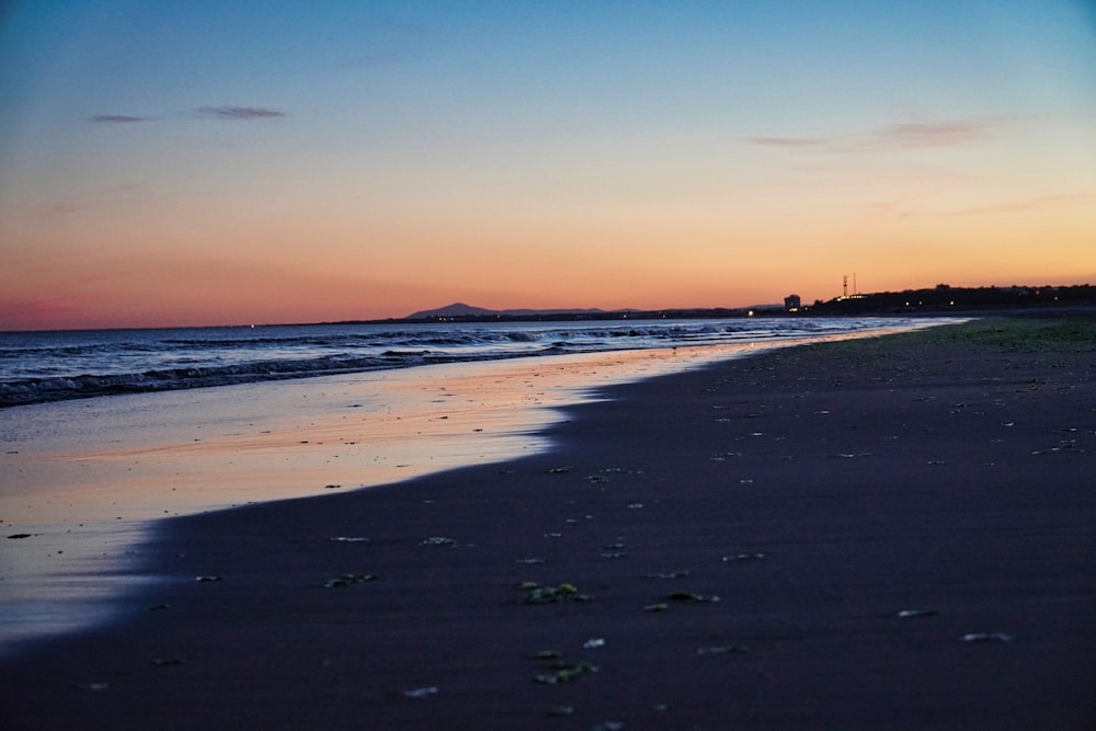 people walking on beach during daytime