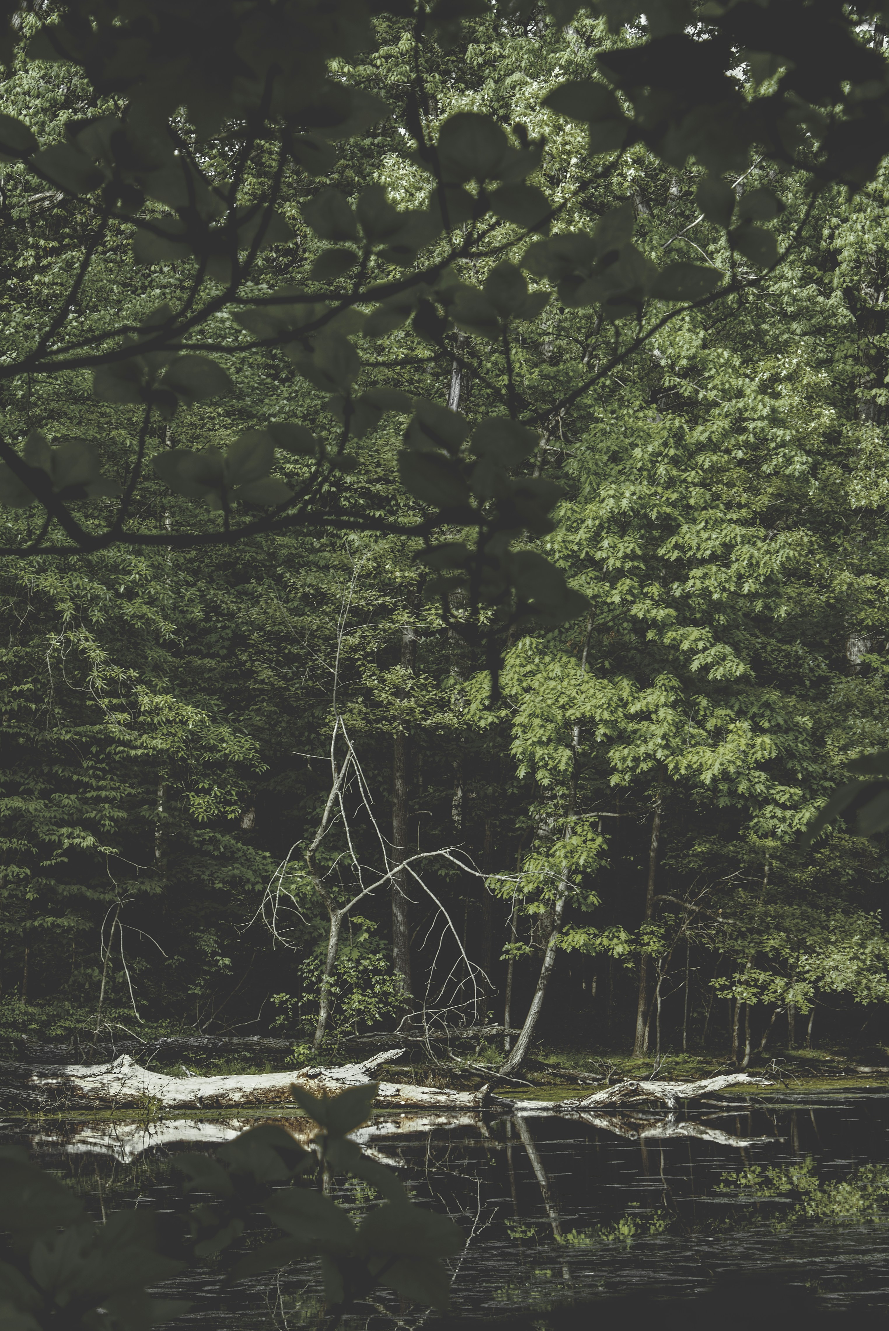 Photo by mrgreatheart