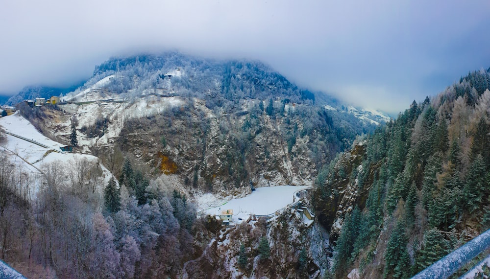 昼間の雪山の緑の木々