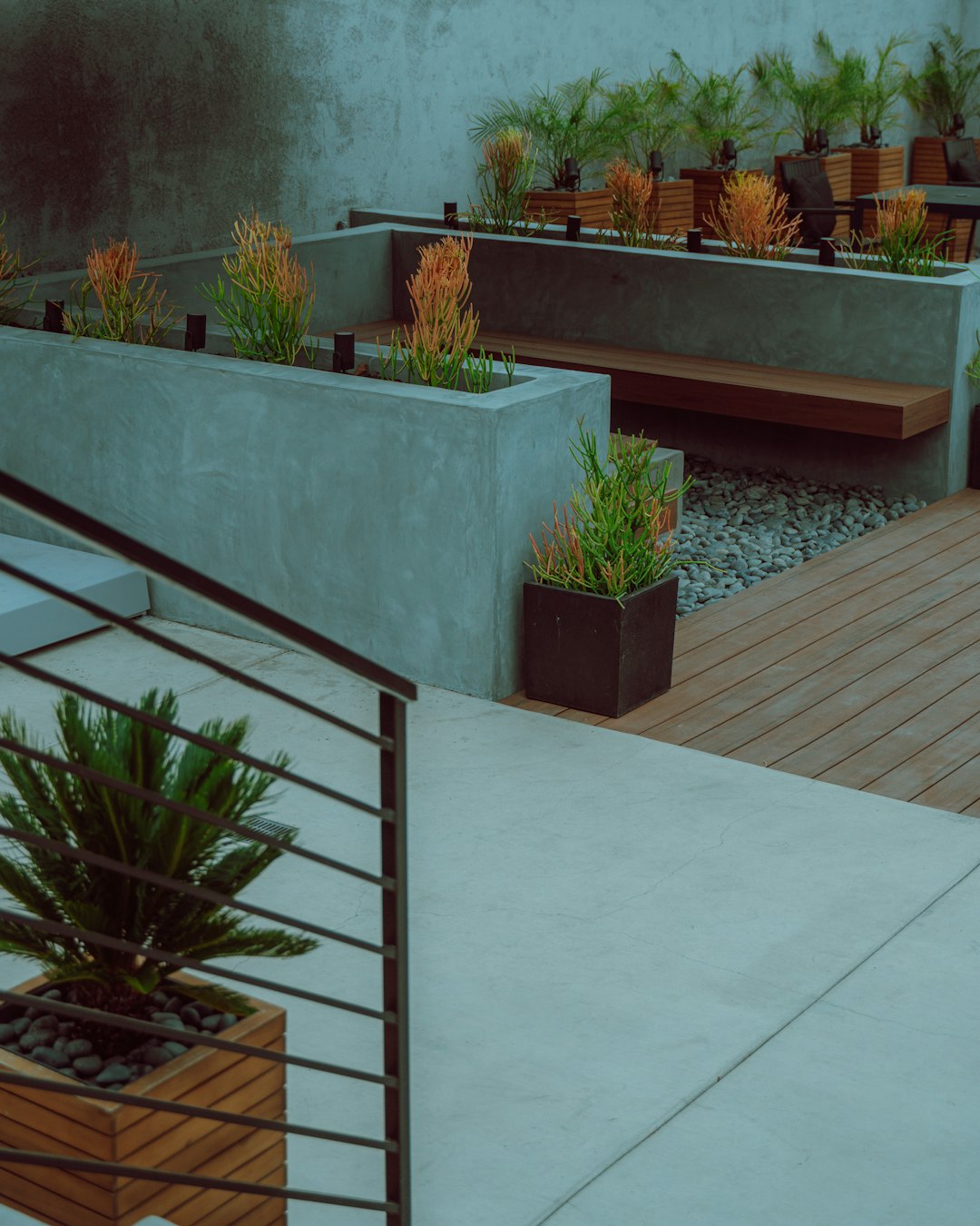 green plants on white concrete wall