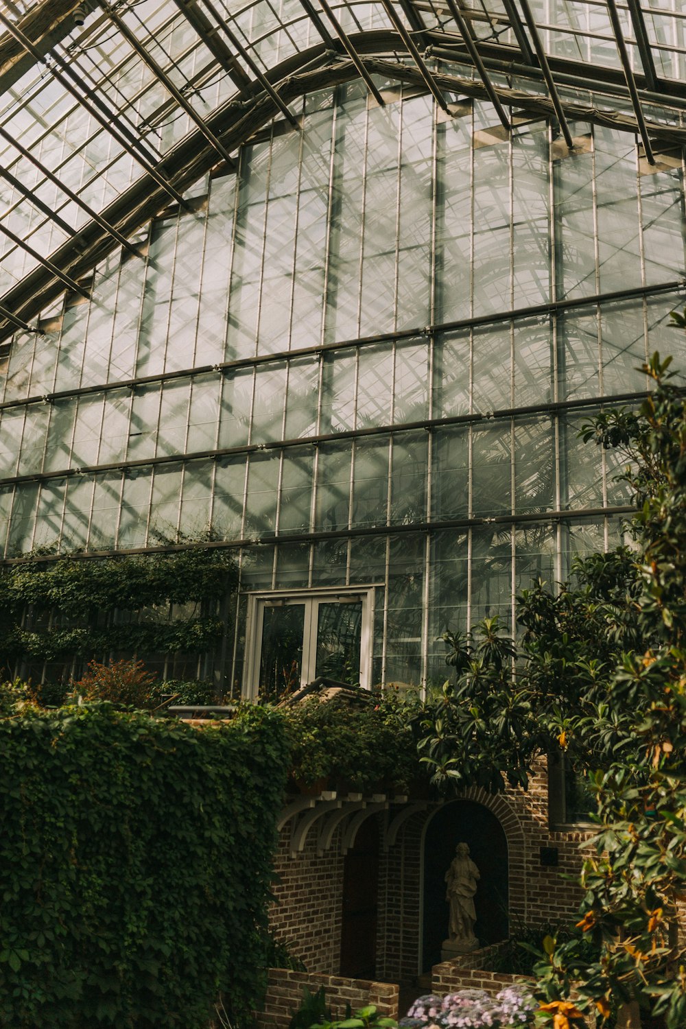 green plants in greenhouse during daytime