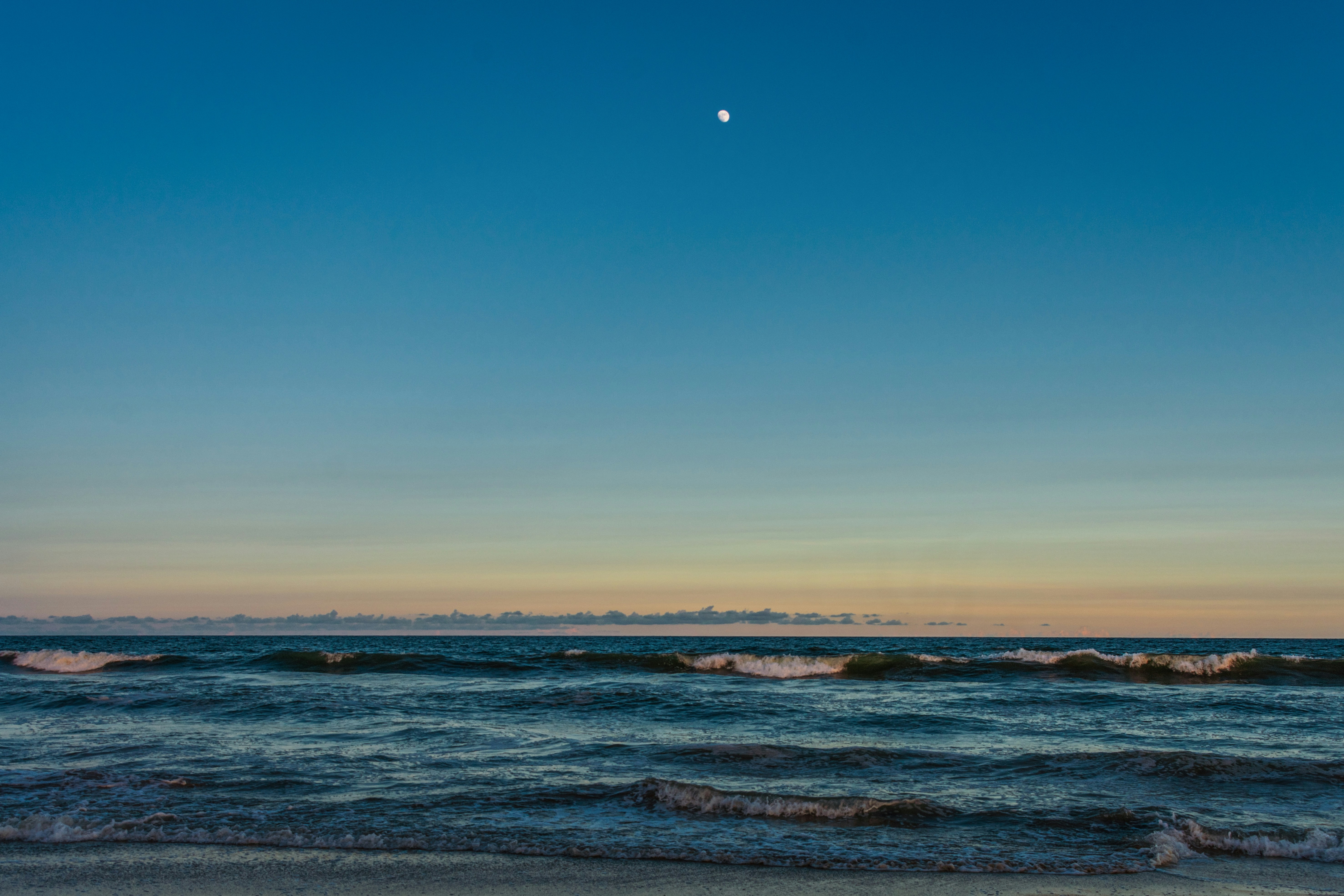 Photo by subhadeep57