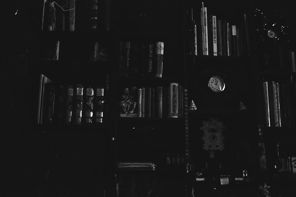 grayscale photo of books on shelves